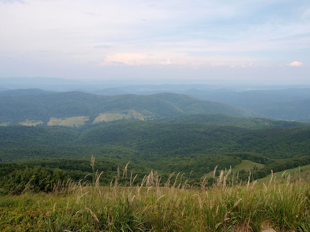 img00019.jpg
