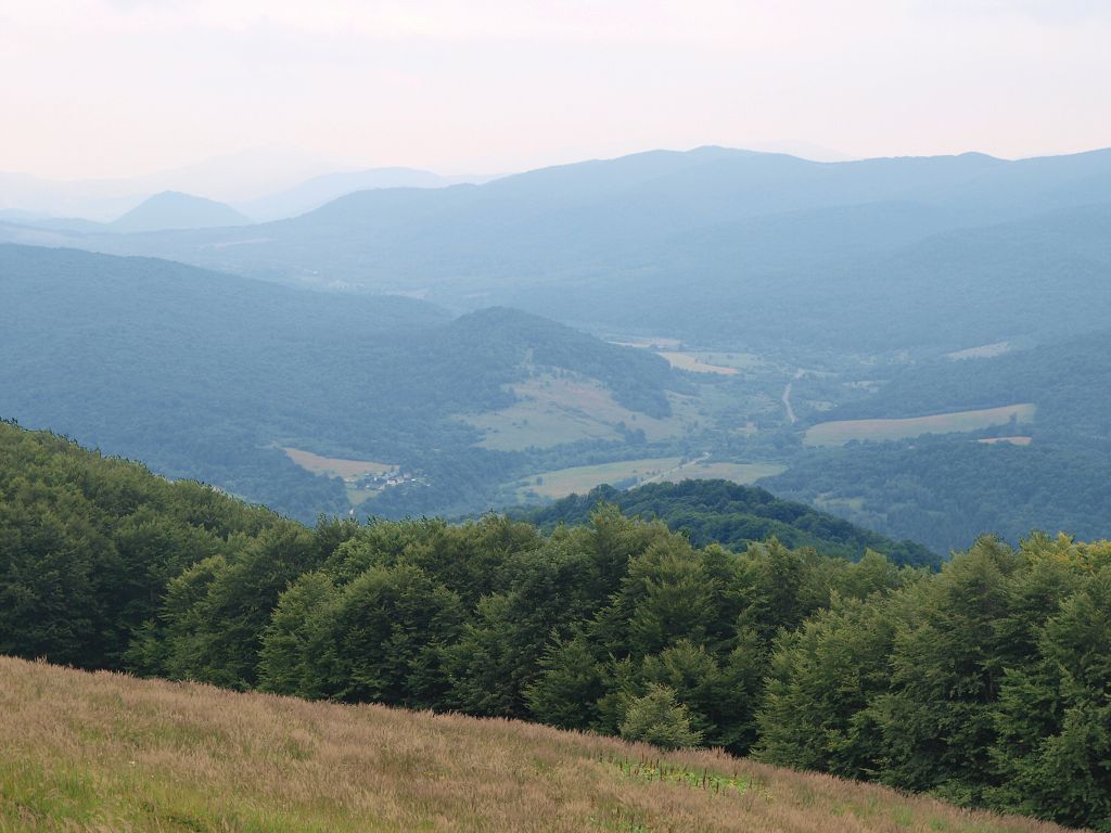 img00024.jpg
