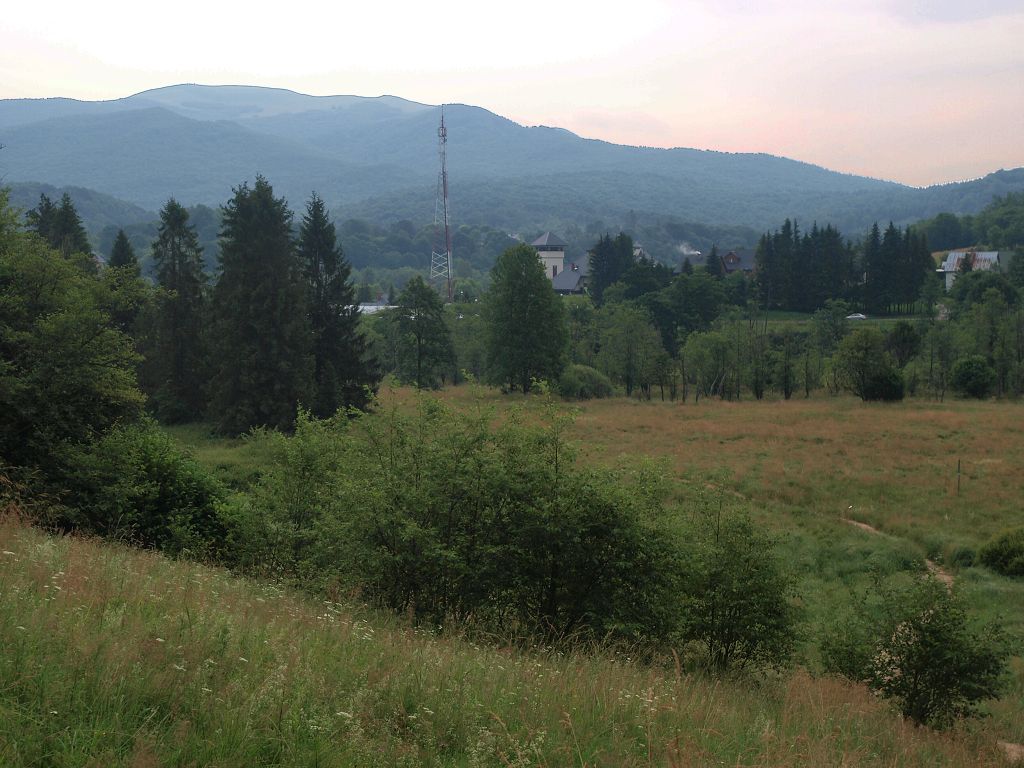 img00025.jpg