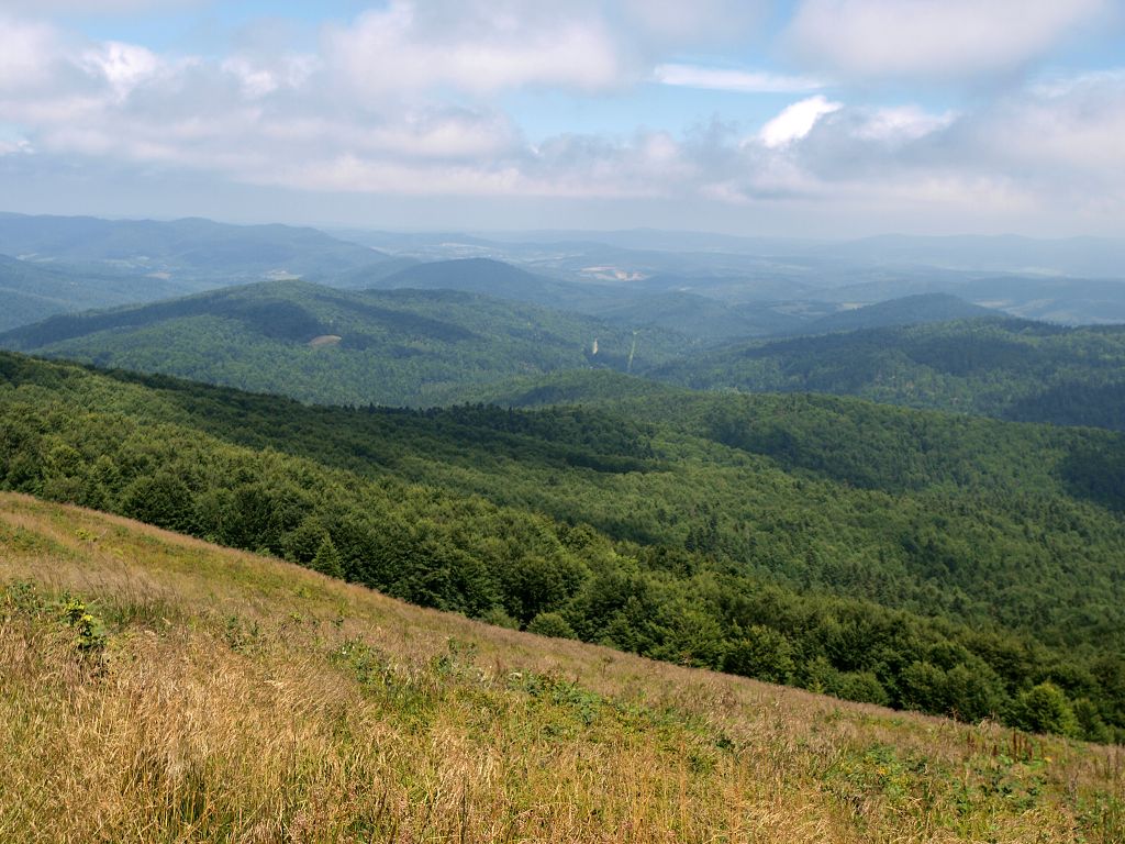 img00007.jpg