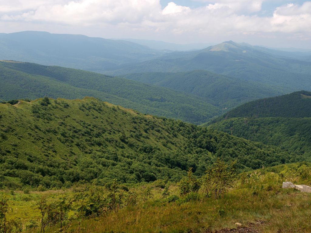 img00011.jpg