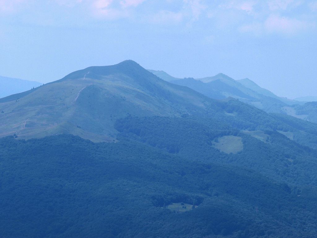 img00014.jpg