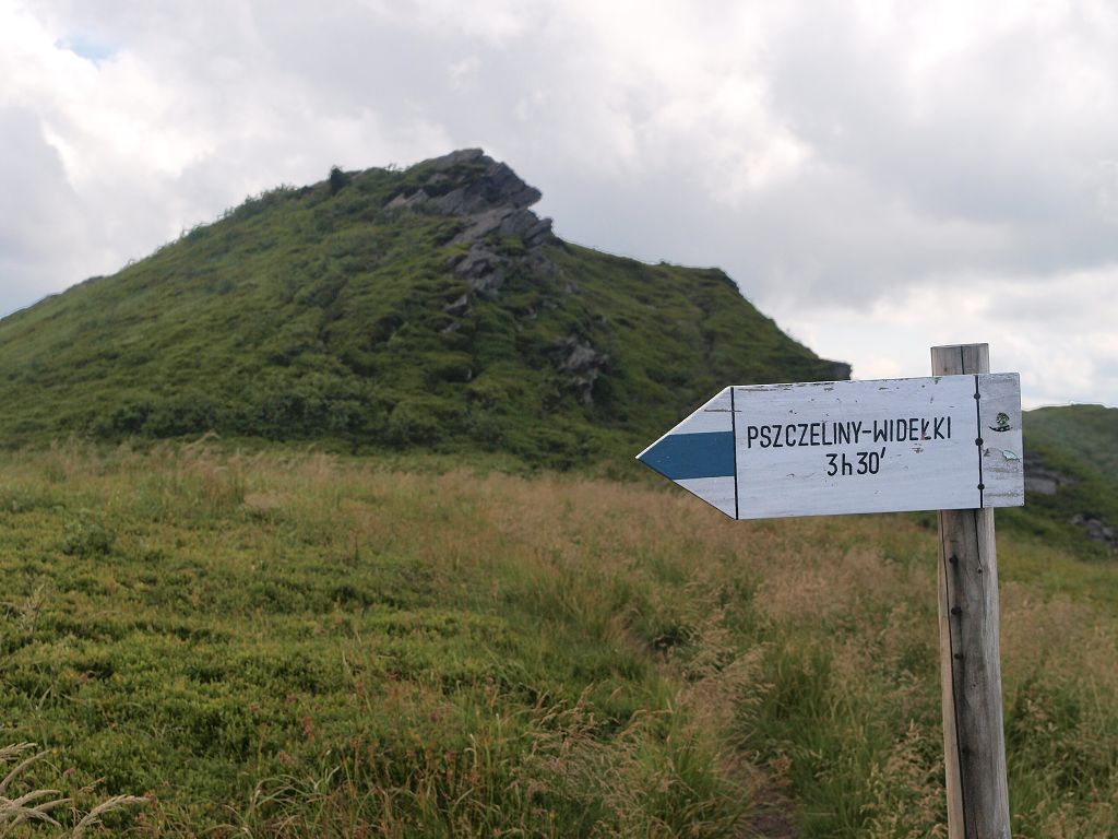 img00017.jpg