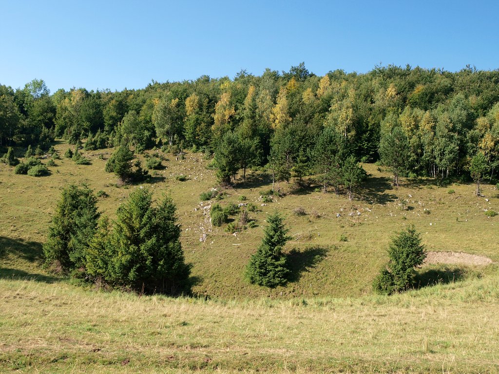 img00005.jpg
