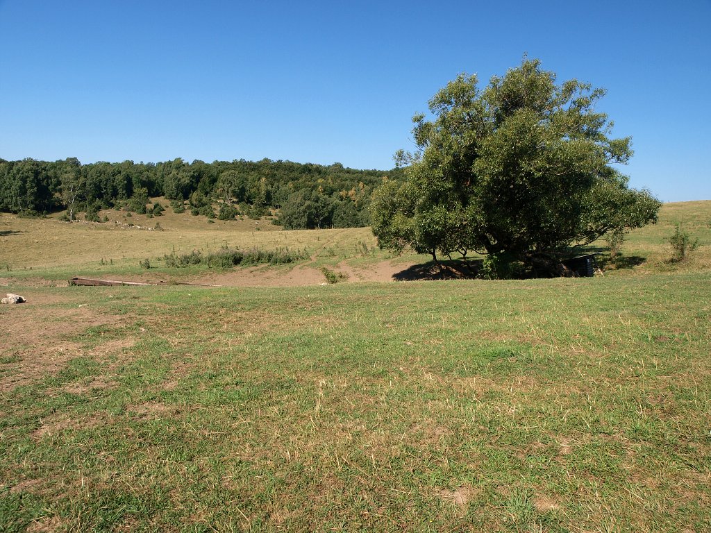 img00006.jpg
