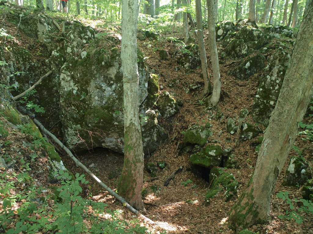 img00007.jpg