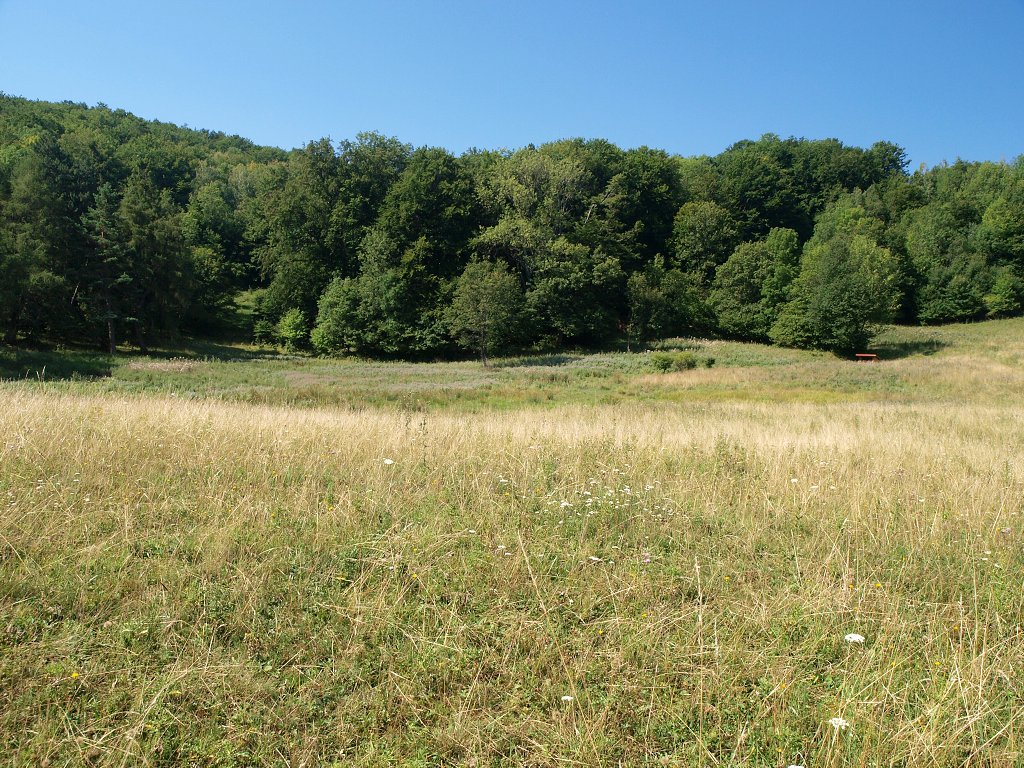 img00010.jpg
