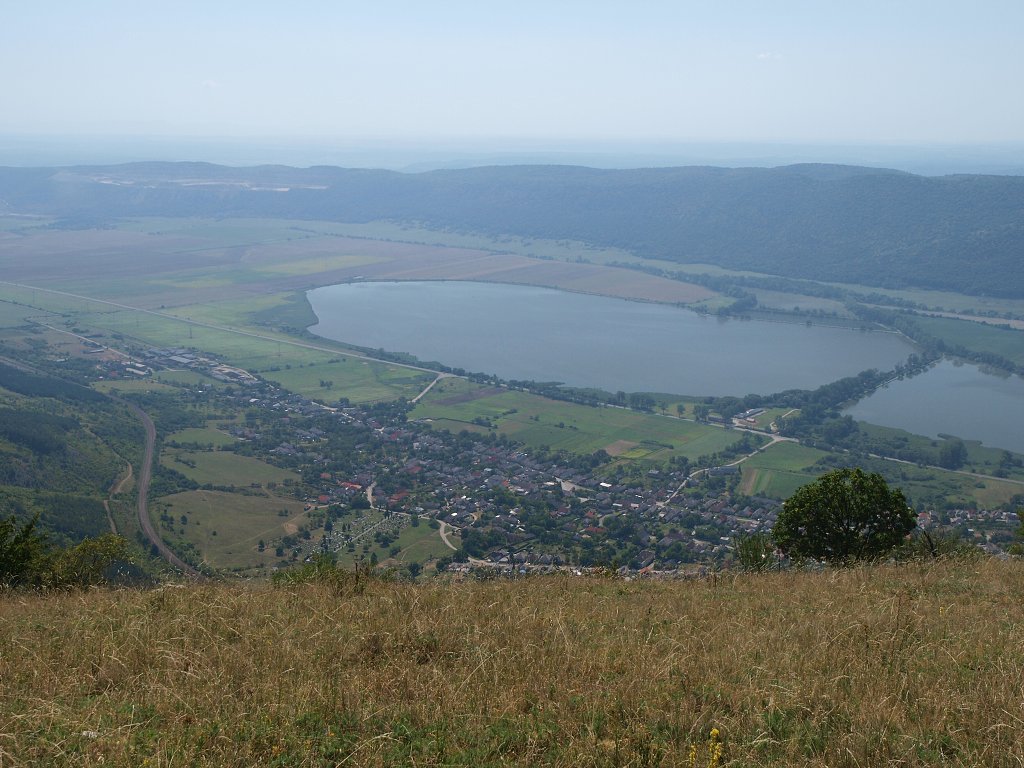 img00011.jpg