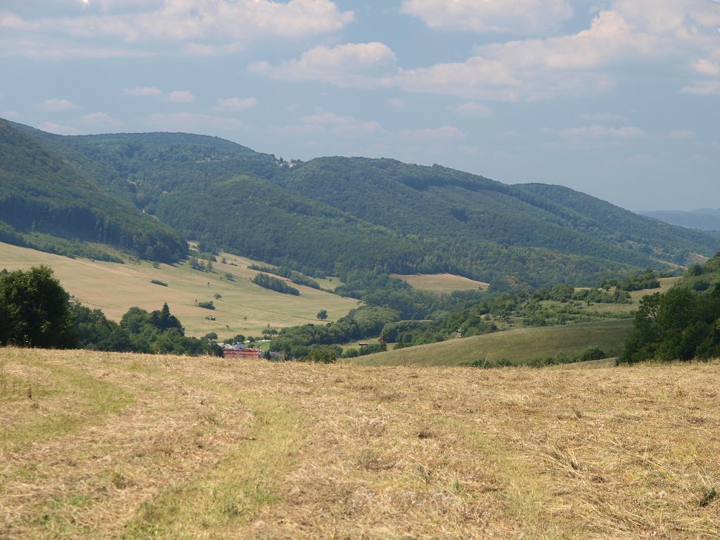 img00015.jpg