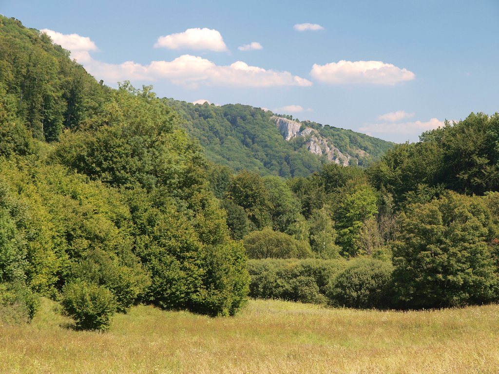 img00016.jpg