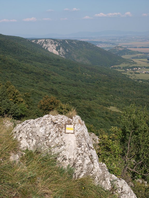 img00019.jpg