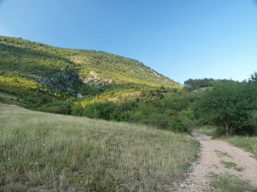 img00020.jpg