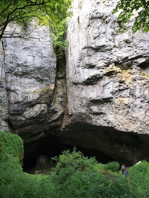 img00002.jpg