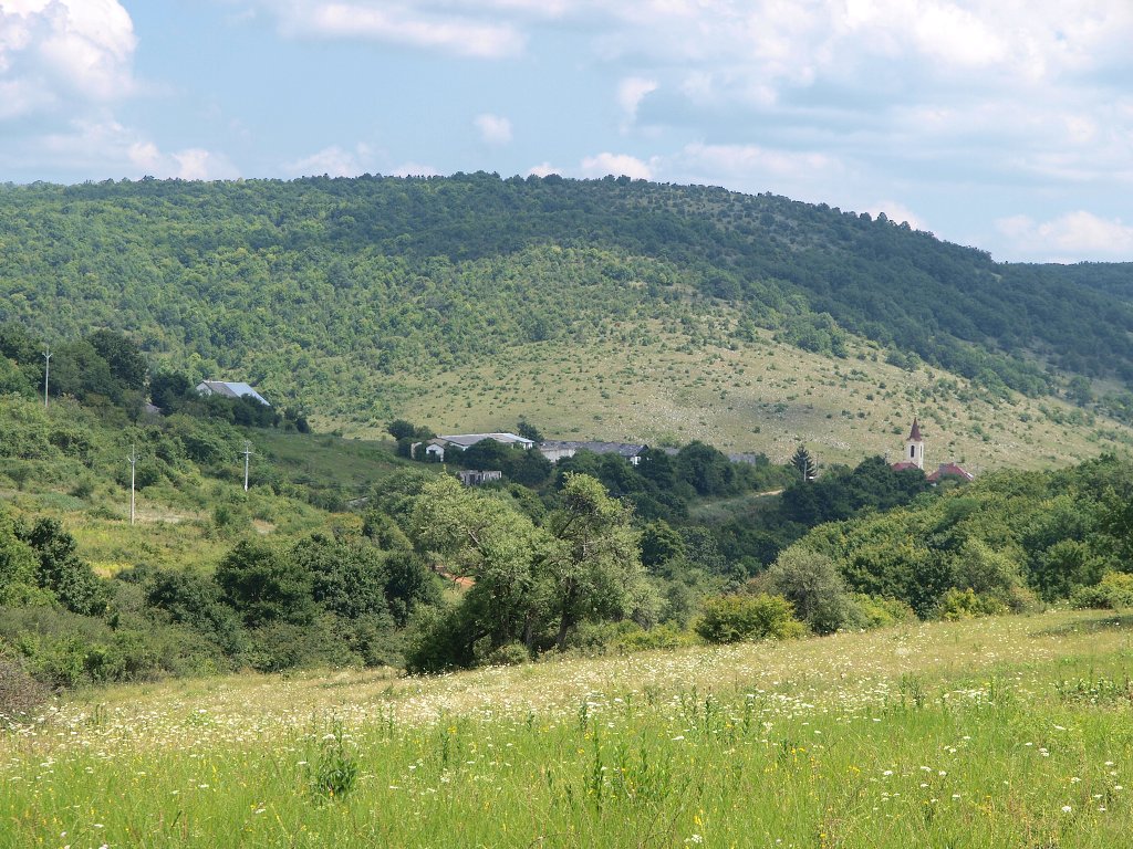 img00010.jpg