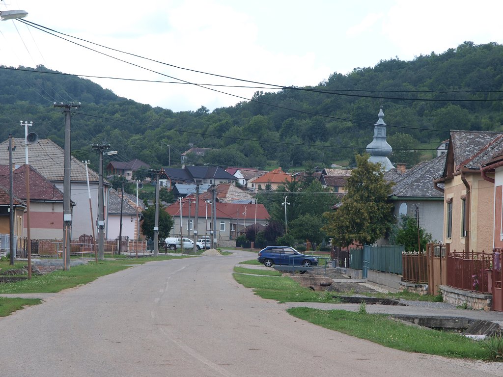 img00017.jpg