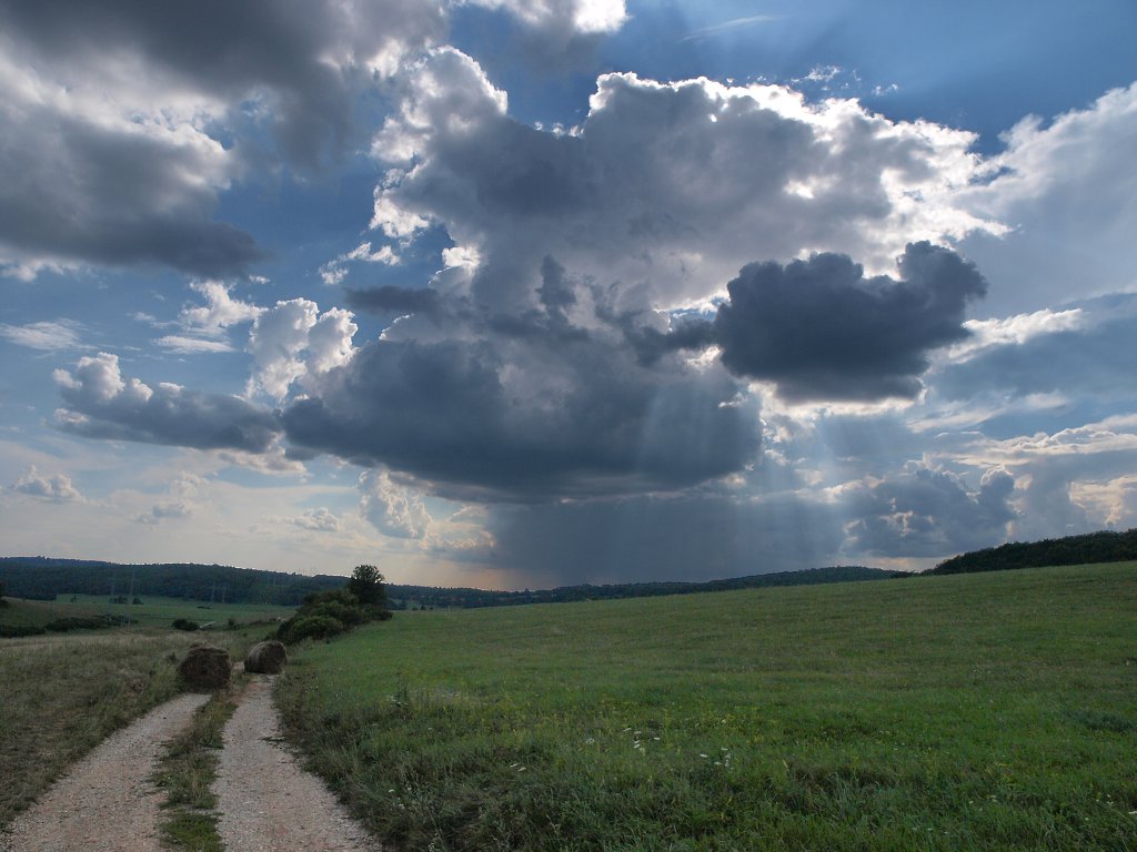 img00018.jpg