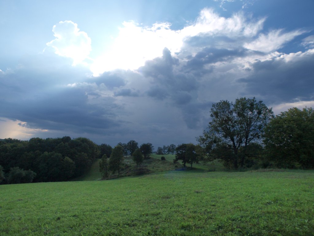 img00020.jpg