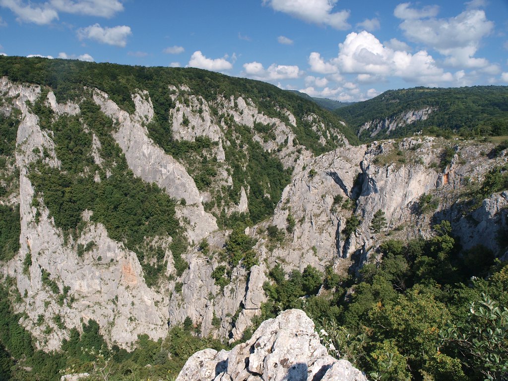 img00005.jpg