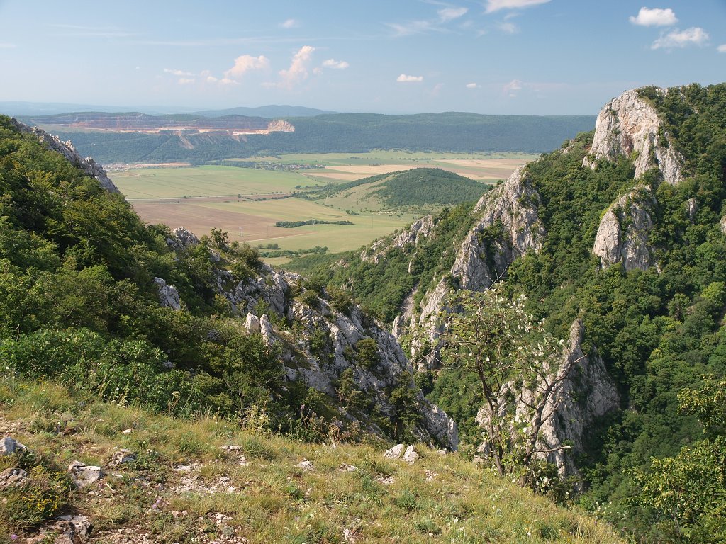 img00008.jpg