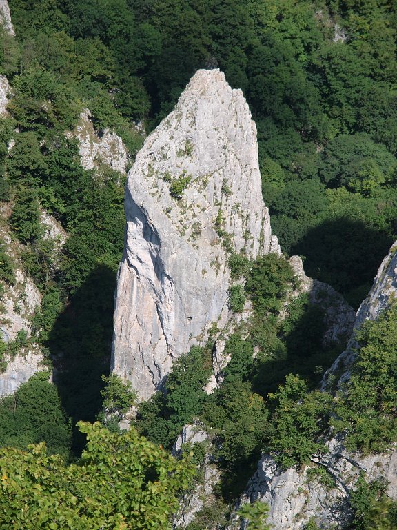 img00009.jpg
