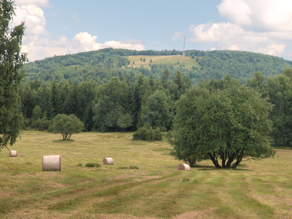 img00014.jpg