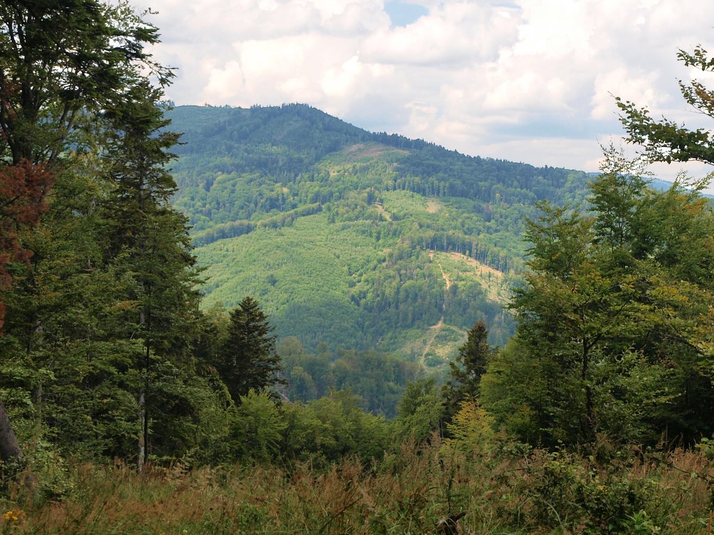 img00019.jpg