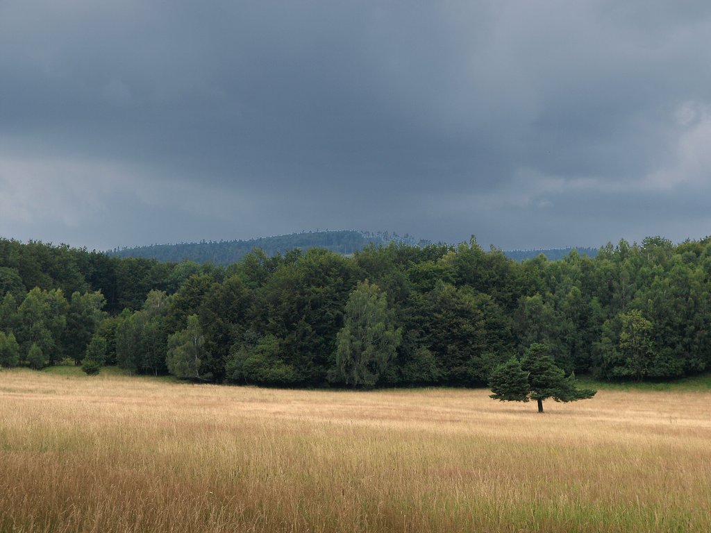 img00021.jpg