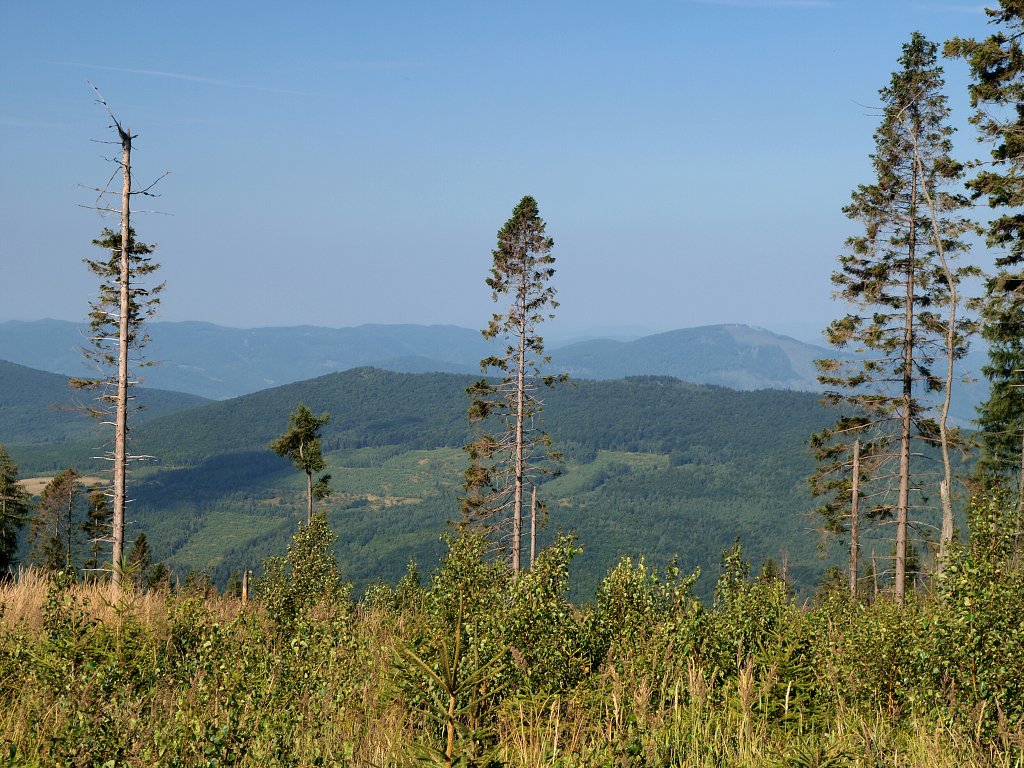 img00002.jpg
