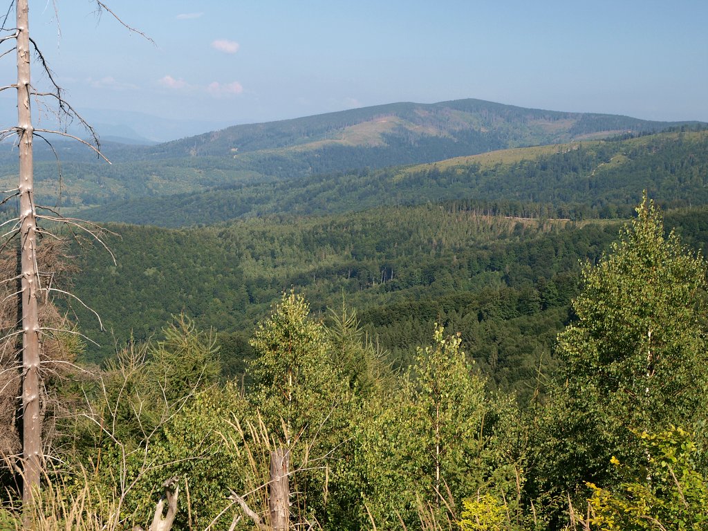 img00003.jpg