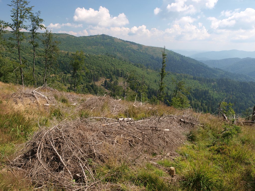 img00007.jpg