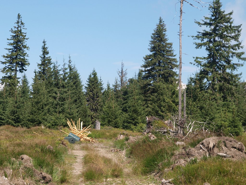img00008.jpg