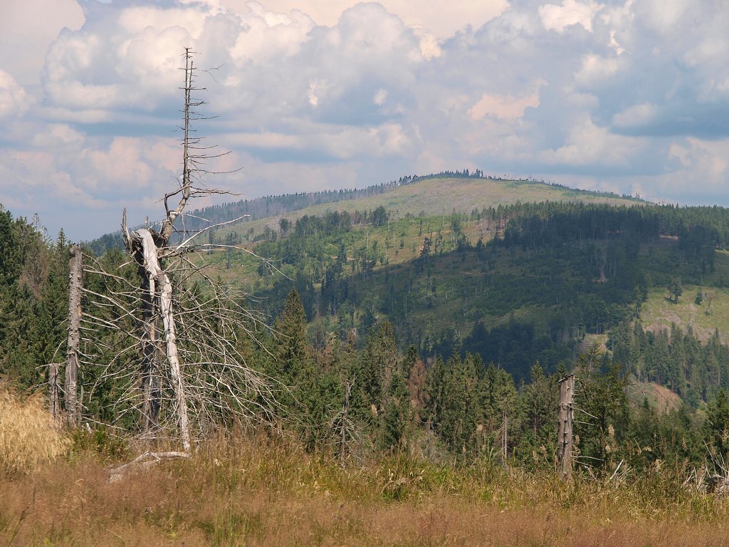 img00012.jpg