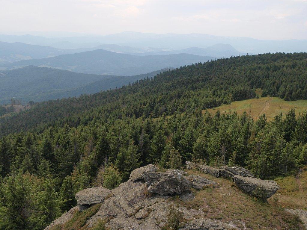 img00017.jpg