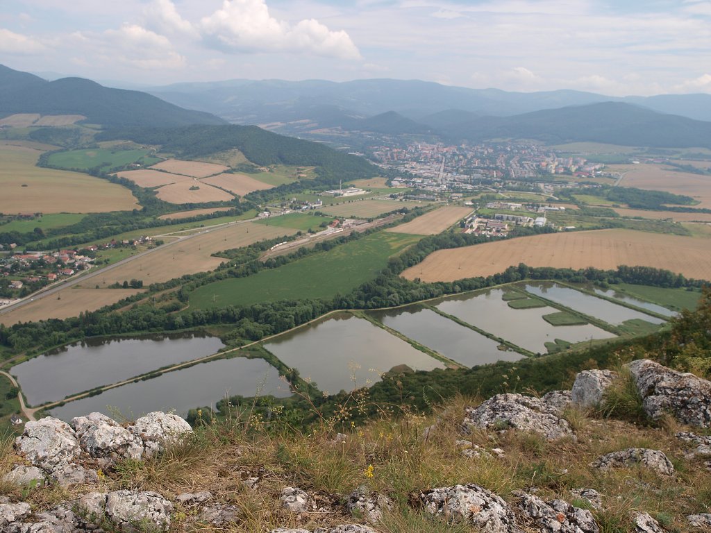 img00006.jpg