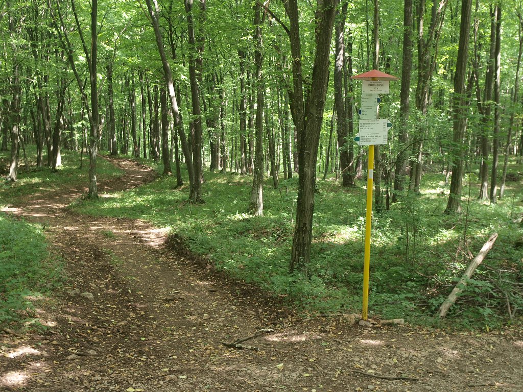 img00010.jpg