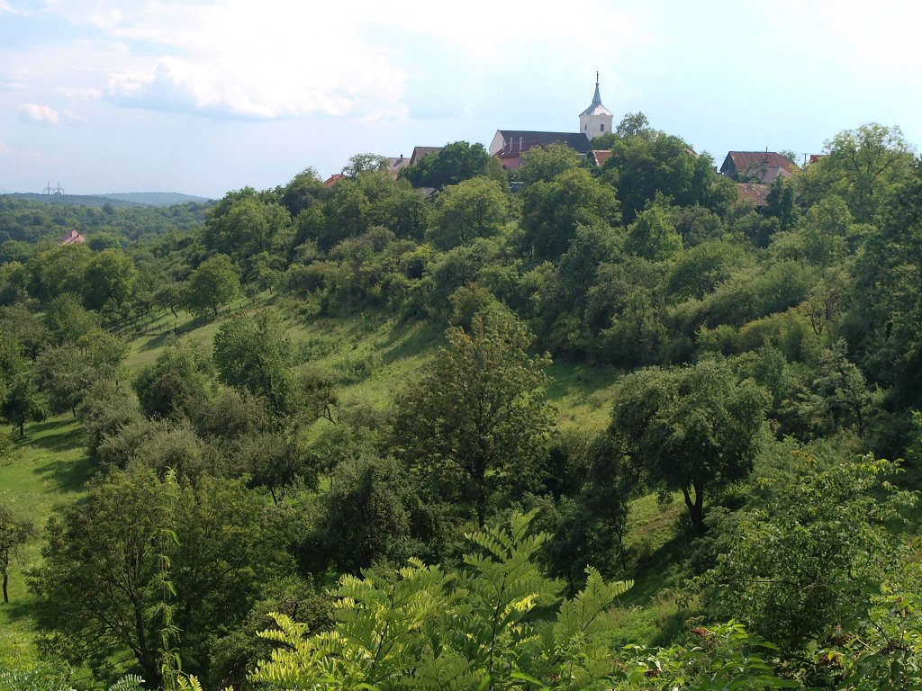 img00018.jpg