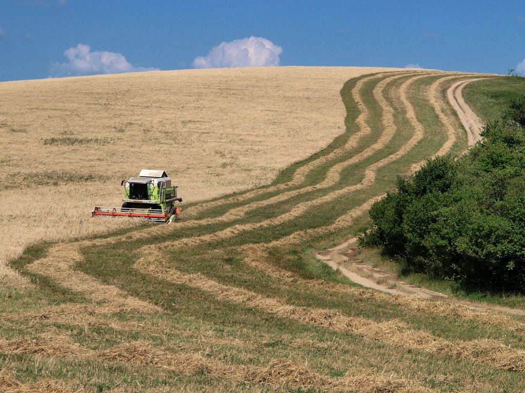 img00020.jpg