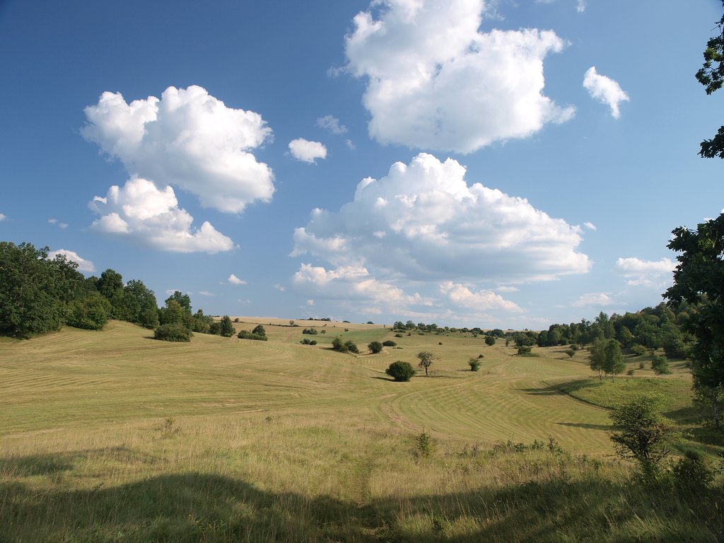 img00024.jpg