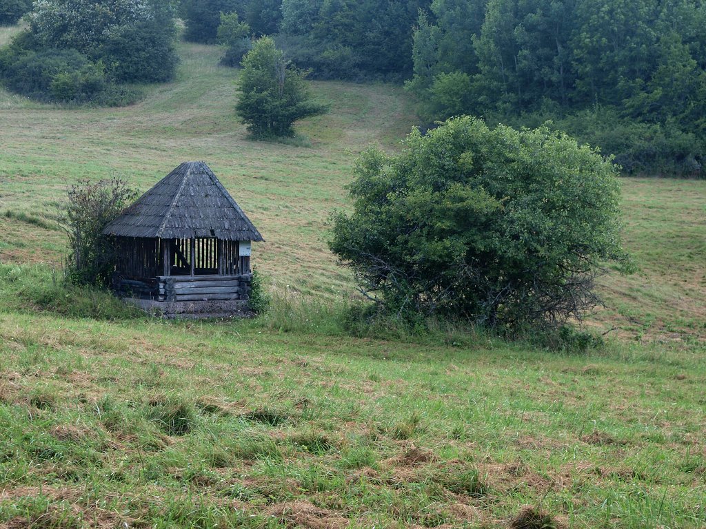 img00025.jpg