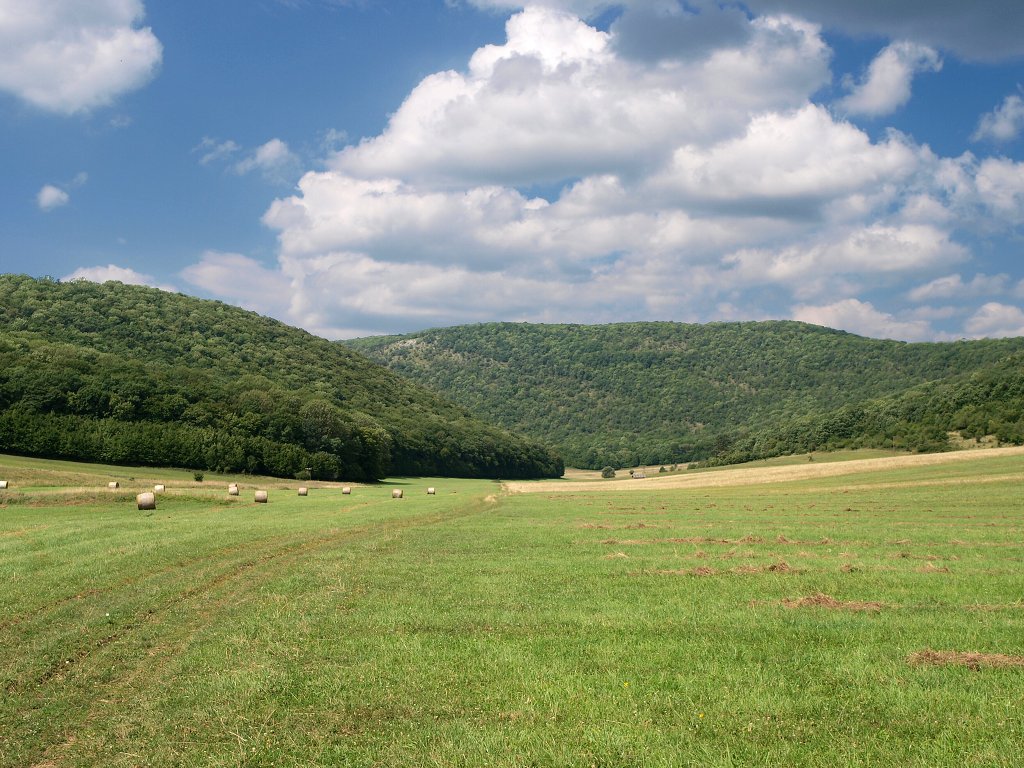 img00006.jpg