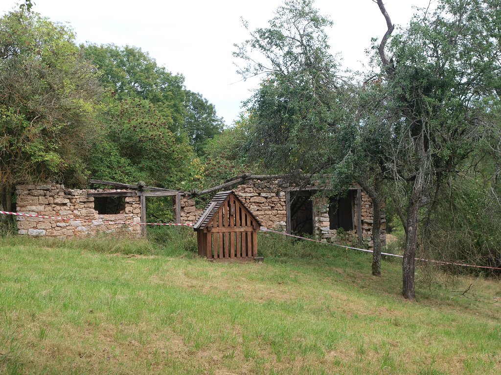 img00009.jpg