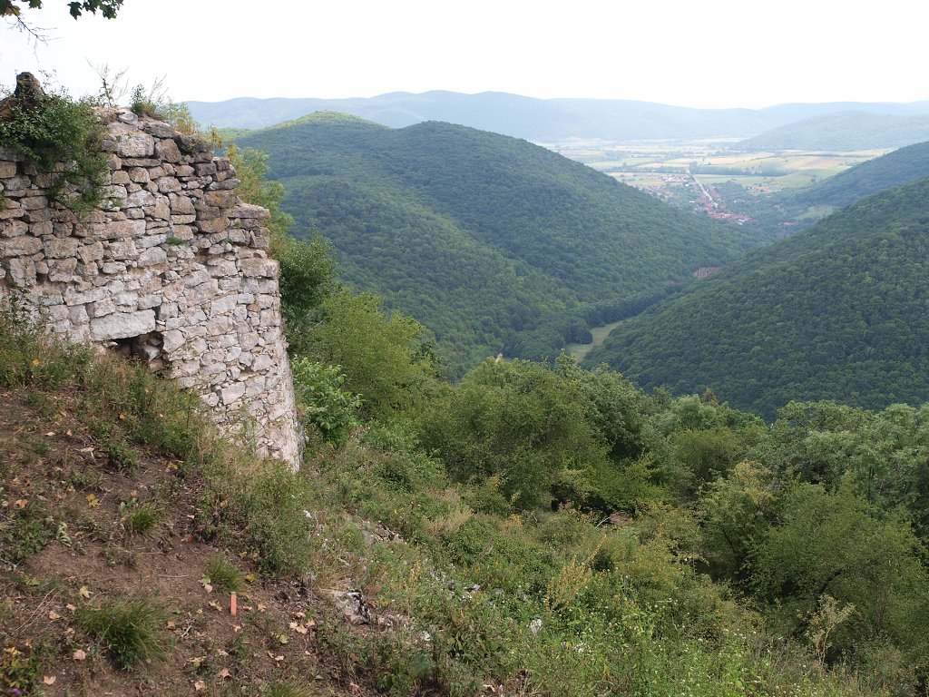 img00011.jpg