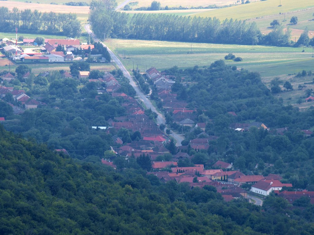 img00012.jpg
