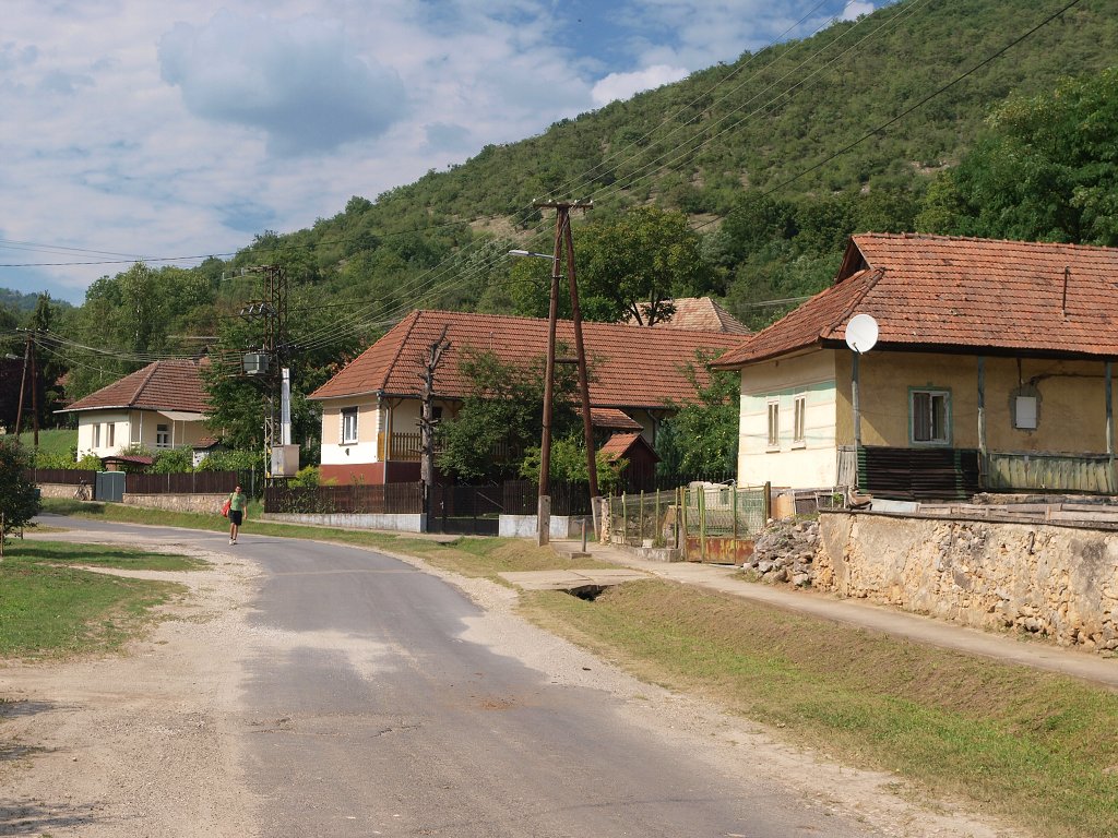 img00017.jpg