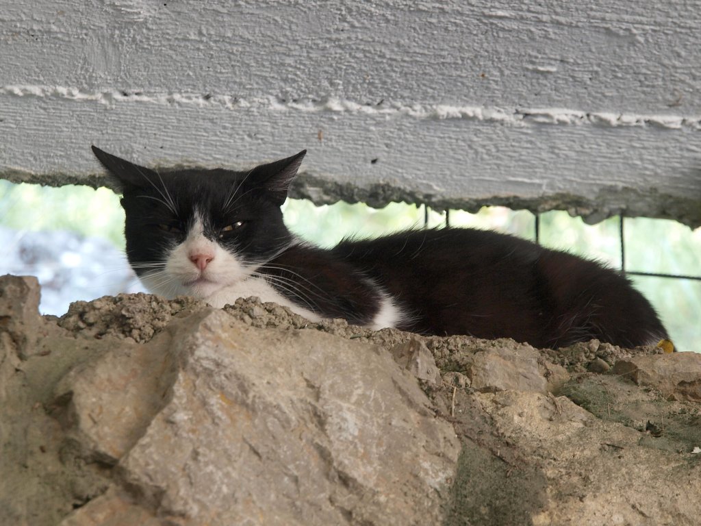 img00019.jpg
