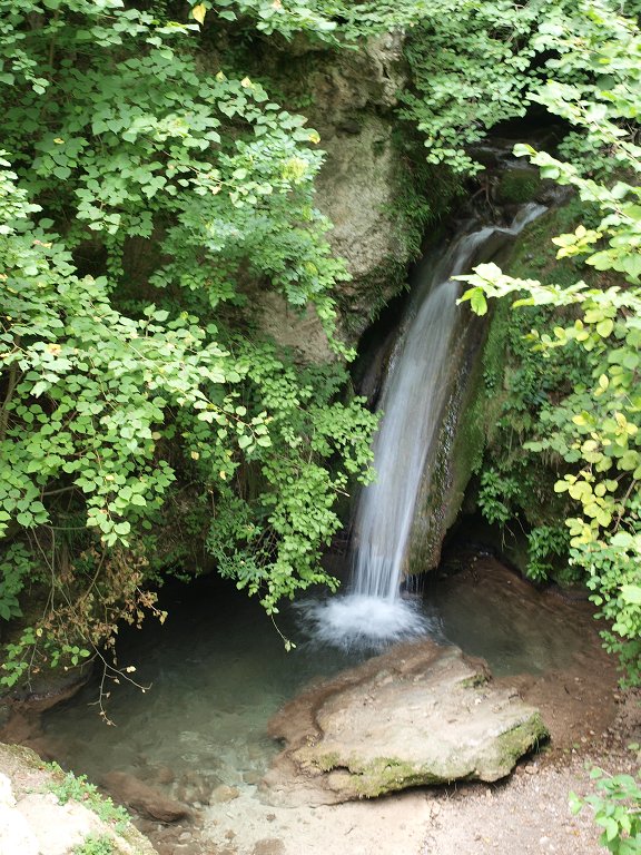 img00005.jpg