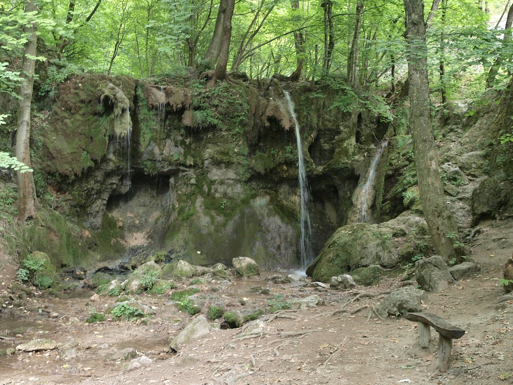 img00006.jpg