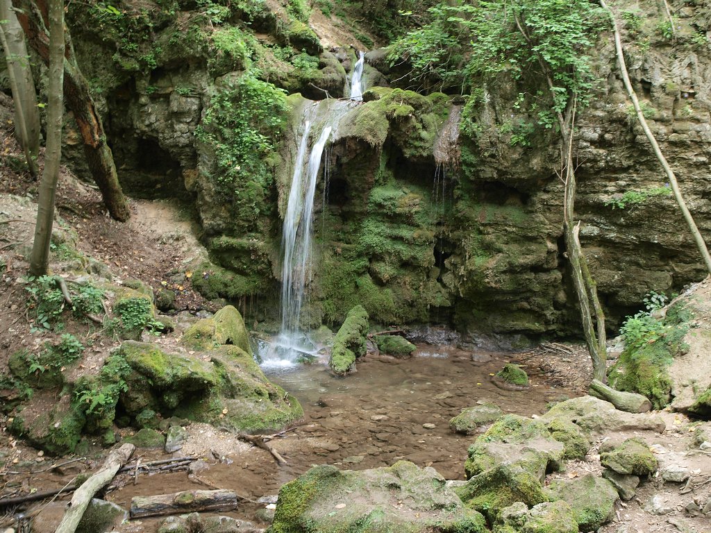 img00007.jpg