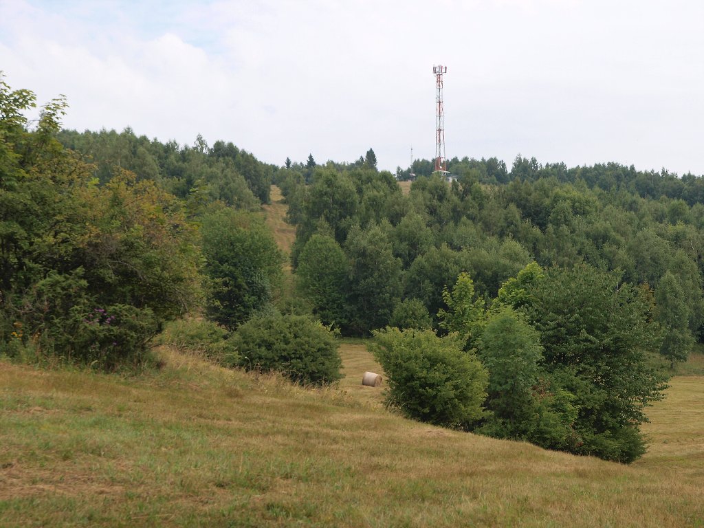 img00010.jpg