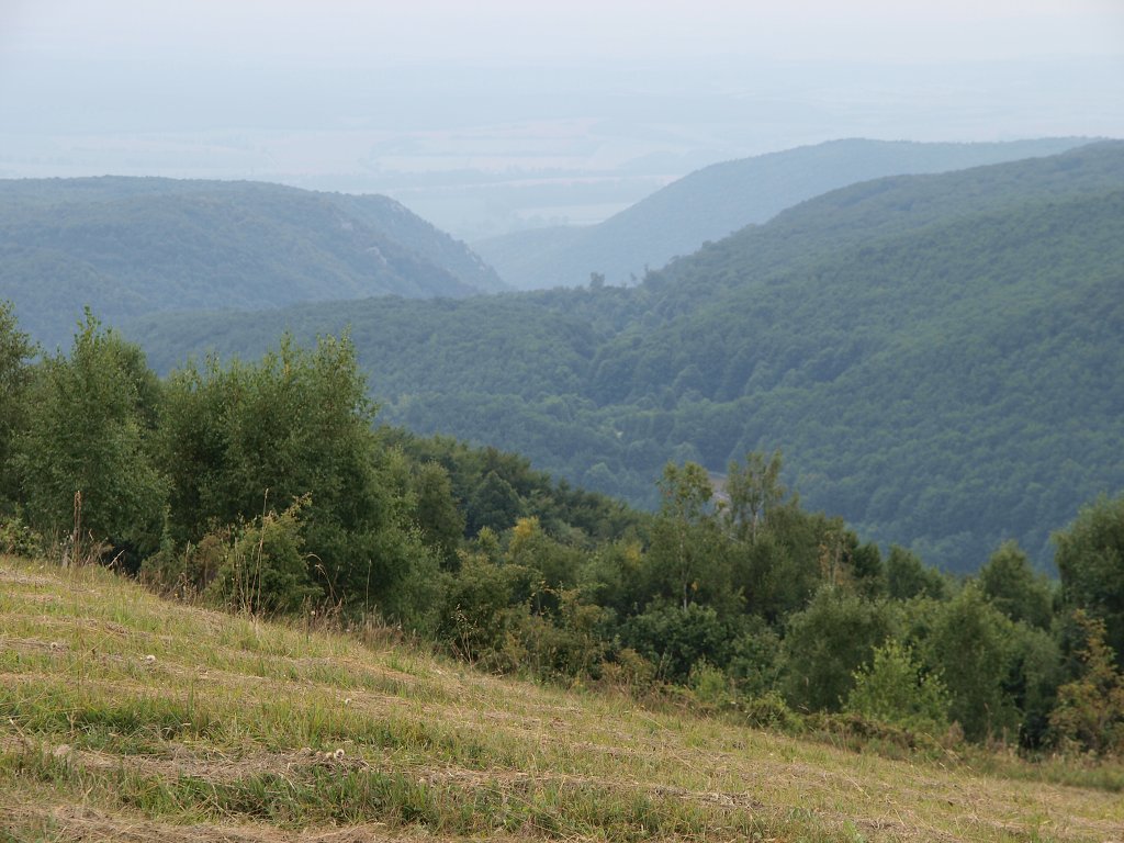 img00011.jpg